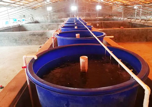 工廠化水產養殖為什么大多數選擇PP材質的魚池?