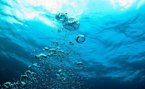 養(yǎng)殖水體溫度變化對水產養(yǎng)殖帶來的影響分析?