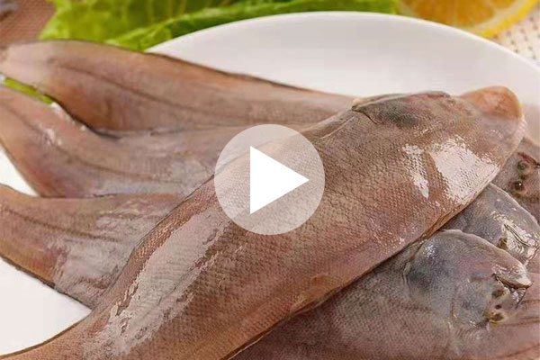 舌鰨魚為什么高檔?剝?nèi)ヴ~皮就明白了