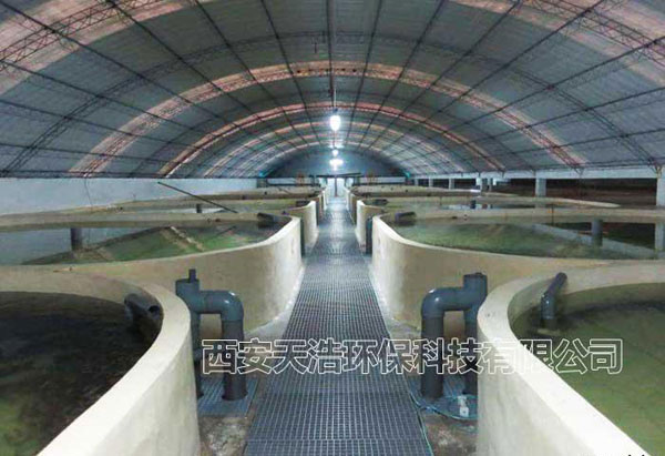 全封閉工廠化循環(huán)水養(yǎng)殖系統(tǒng):打造可持續(xù)的養(yǎng)殖模式