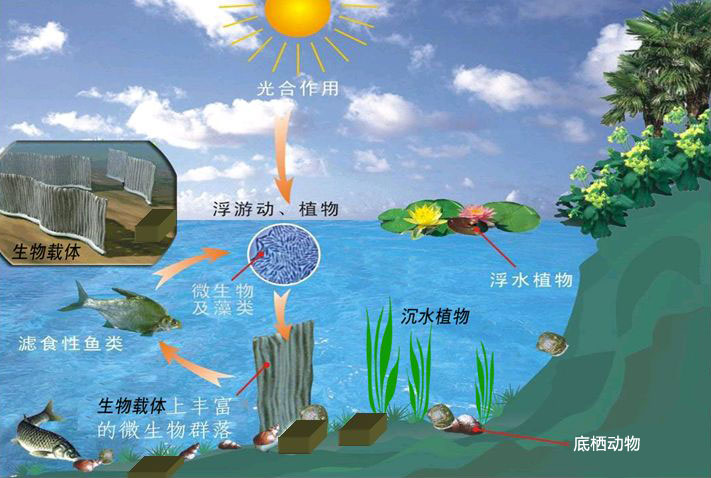 論工廠化水產養殖中溶解氧的重要作用