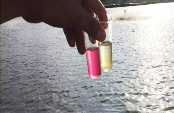 工廠化循環(huán)水養(yǎng)殖關(guān)于氨氮的詳細(xì)解釋