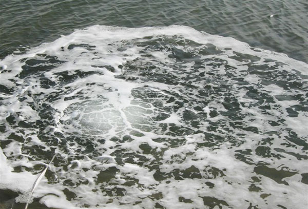 溶解氧在工廠化水產養殖中的重要性