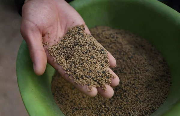 循環水養殖提高飼料利用率的方法分析