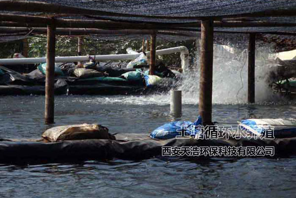 池塘工業化循環水養殖系統